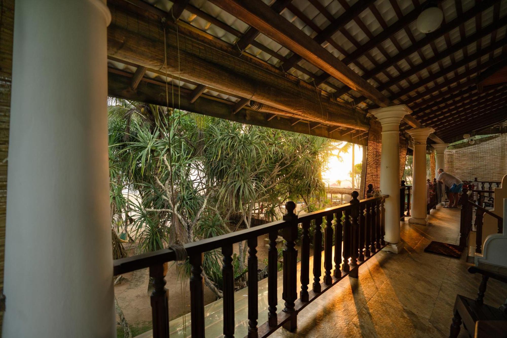 Jungle & Wiener Hotel